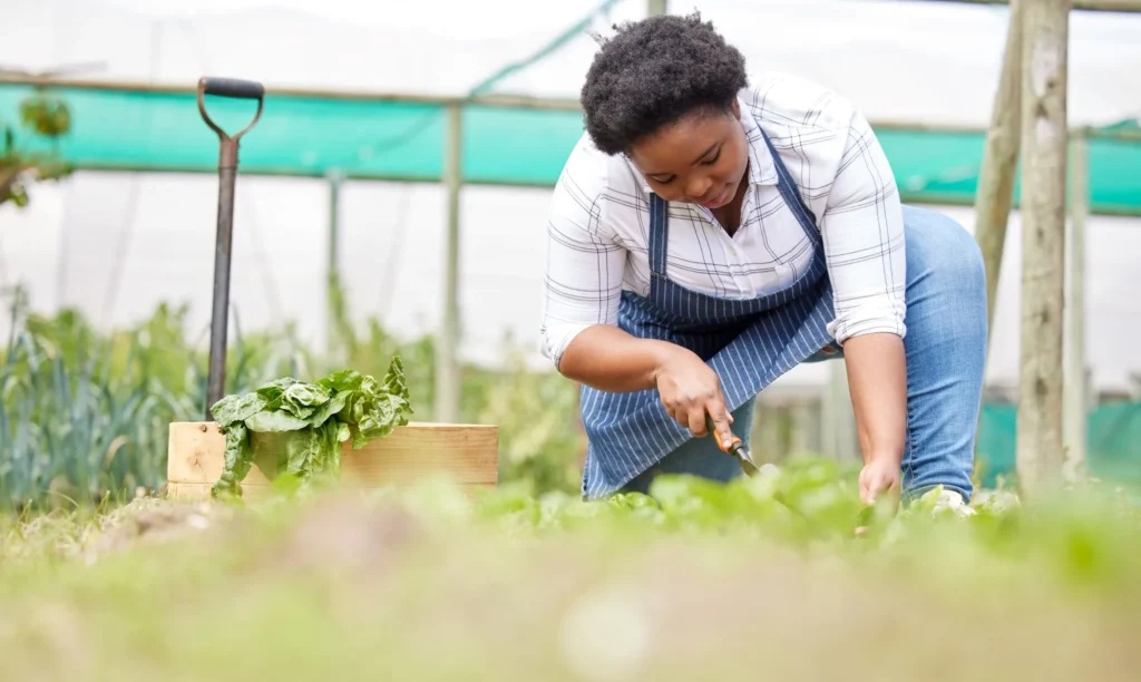 Shot-of-a-young-woman-tending-to-the-crops-on-a-farm