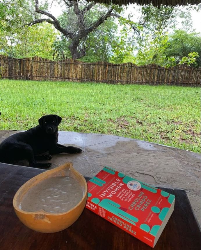 Invisible Women: Data Bias in a World Designed for Men by Caroline Criado Pérez