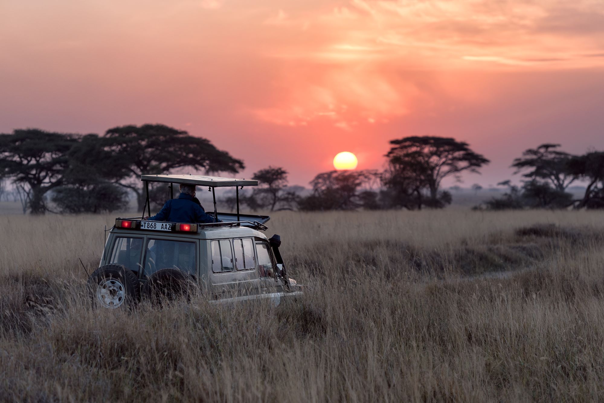Best Places To Go On Safari In 2021